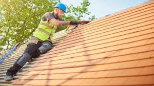 Best Roof Moss and Algae Removal  in Andrews, NC