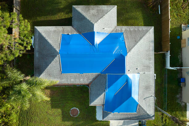Best Steel Roofing  in Andrews, NC