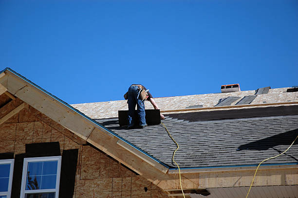 Best Roof Moss and Algae Removal  in Andrews, NC